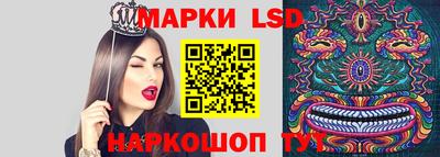 индика Кулебаки