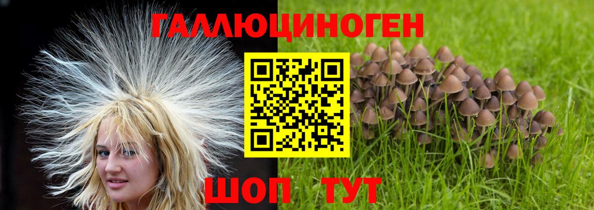 Псилоцибиновые грибы мухоморы Казань